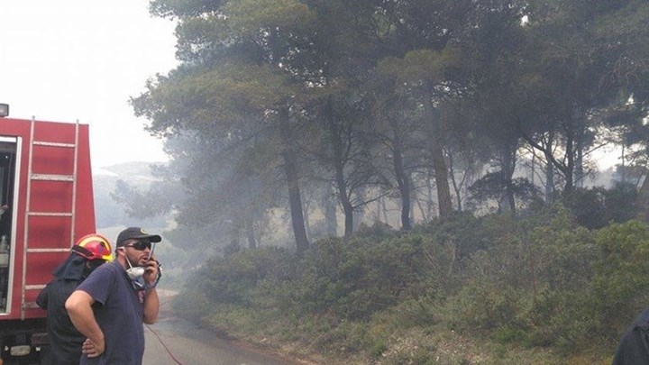 Πυρκαγιά στον Διόνυσο – Ισχυρές πυροσβεστικές δυνάμεις στην περιοχή – ΤΩΡΑ