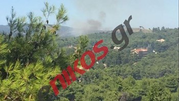 Υπό μερικό έλεγχο η φωτιά στη δημοτική ενότητα του Αγίου Στεφάνου στον δήμο Διονύσου –  ΦΩΤΟ αναγνώστη