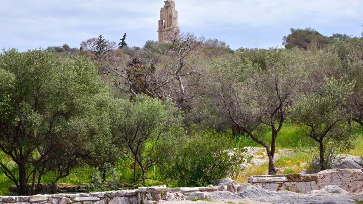 Συγκλονίζει η κατάθεση της κοπέλας του 25χρονου που εντοπίστηκε νεκρός στα βράχια του Φιλοπάππου