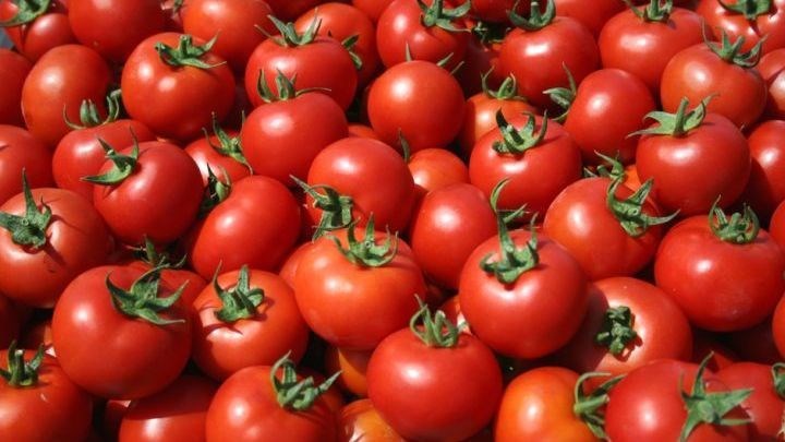 Δείτε τη τομάτα που ζυγίζει κάτι παραπάνω από… ένα κιλό – ΦΩΤΟ αναγνώστη