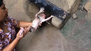 H συγκλονιστική στιγμή διάσωσης νεογέννητου που είχε εγκλωβιστεί στην αποχέτευση- ΒΙΝΤΕΟ