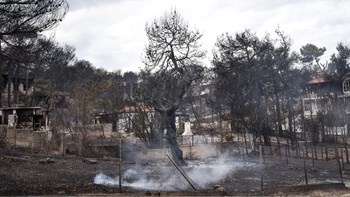 Στις 3.957 οι αιτήσεις των πυρόπληκτων για το επίδομα – Πόσα νοικοκυριά και επιχειρήσεις το έχουν λάβει