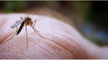 Τι λέει λοιμωξιολόγος του ΚΕΕΛΠΝΟ στον Realfm 97,8 για τον ιό του Δυτικού Νείλου