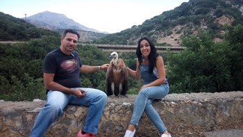 Φρόντισαν τον τραυματισμένο γυπαετό κι εκείνος άνοιξε τα φτερά του και τους αγκάλιασε – ΦΩΤΟ- ΒΙΝΤΕΟ