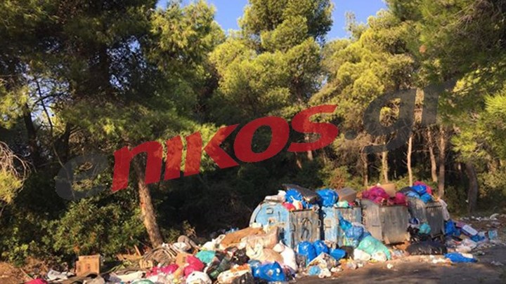 Σε σκουπιδότοπο έχει μετατραπεί το Αλεποχώρι Μεγάρων – ΦΩΤΟ αναγνώστη