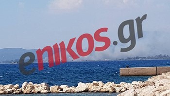 Ενισχύθηκαν οι πυροσβεστικές δυνάμεις στη Μεσσηνία- ΒΙΝΤΕΟ αναγνώστη