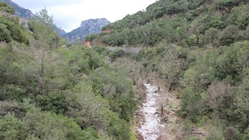 Τρεις Γάλλοι πεζοπόροι αγνοούνται σε φαράγγι του Ταΰγετου