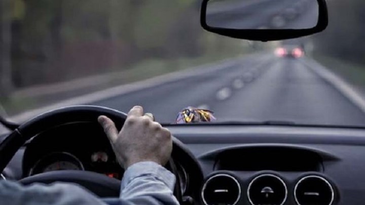 Έπαθε αλλεργικό σοκ από τσίμπημα εντόμου την ώρα που οδηγούσε