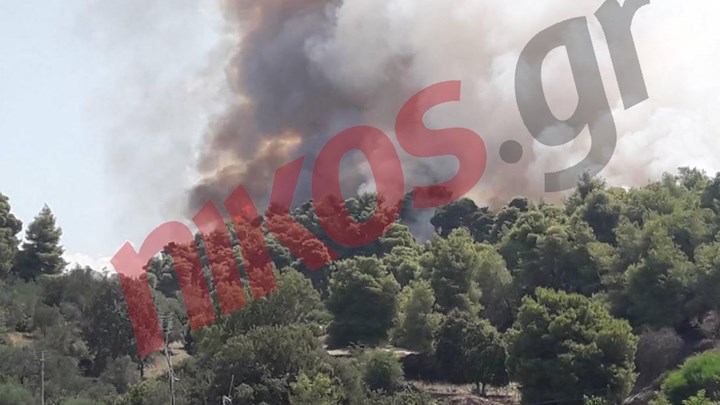 Νέες εικόνες από τη φωτιά στην Δαφνιώτισσα – ΦΩΤΟ αναγνώστη