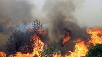 Δύο συλλήψεις για τη φωτιά στις Αρχάνες