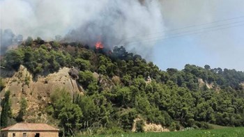Σε ύφεση η μεγάλη πυρκαγιά κοντά στη Δαφνιώτισσα Ηλείας