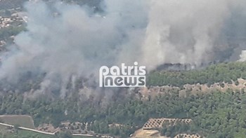 Υπό έλεγχο η πυρκαγιά στην Ηλεία – ΦΩΤΟ – ΒΙΝΤΕΟ