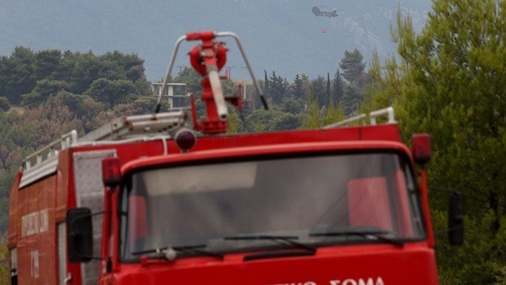 Τρία σκυλιά κάηκαν ζωντανά στην Κρήτη από φωτιά σε στάβλο