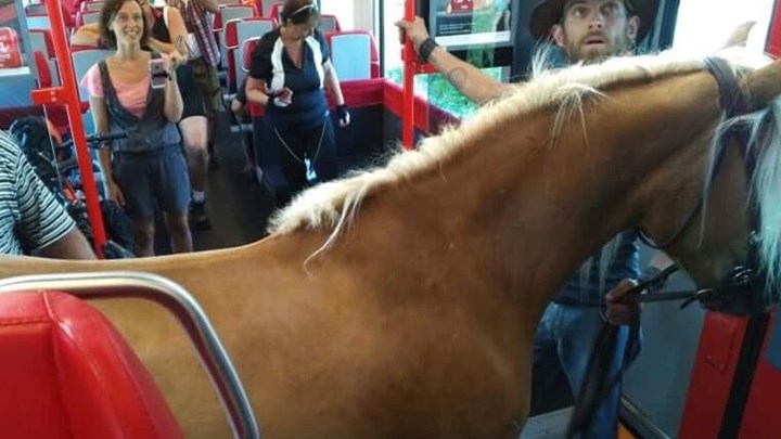 Επιβιβάστηκε στο τρένο μαζί με το… άλογο – ΦΩΤΟ