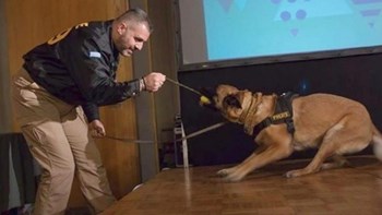 «Έφυγε» η Anuk της ομάδας Κ9 της ΕΛ.ΑΣ