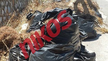 Τα σκουπίδια «πνίγουν» τη Σαλαμίνα – ΦΩΤΟ αναγνώστη
