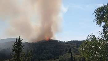 Σε ύφεση η φωτιά στην Κέρκυρα – Επέστρεψαν στα σπίτια τους οι κάτοικοι