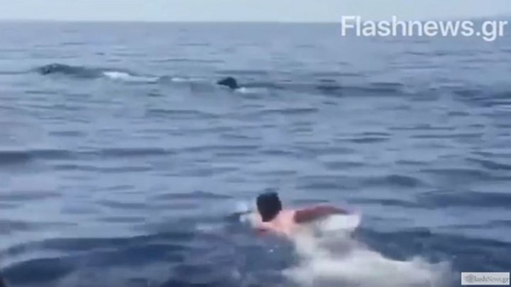 Θαρραλέος κολυμβητής στην Κρήτη: Κολύμπησε δίπλα σε φάλαινα – ΒΙΝΤΕΟ
