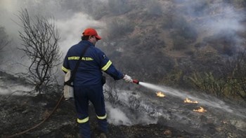 Σε ύφεση η φωτιά στις Ροβιές Ευβοίας