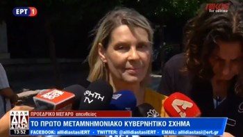 Παπακώστα: Θα κάνουμε δουλειά για την πατρίδα – ΒΙΝΤΕΟ