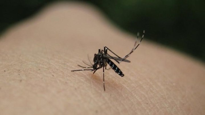 ΙΣΑ: Να εφαρμοστεί έκτακτο σχέδιο δράσης για τον ιό του Δυτικού Νείλου
