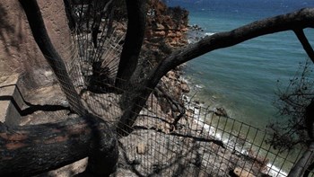 Τη δημιουργία πάρκου στο Μάτι αποφάσισε η Διαρκής Ιερά Σύνοδος