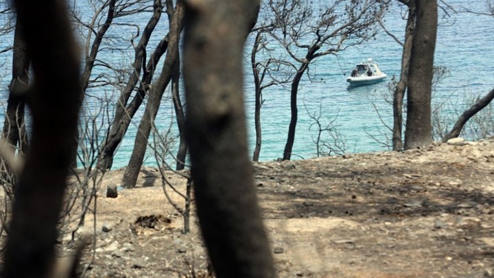 Ελληνική υπηκοότητα στους τρεις μετανάστες ψαράδες που έσωσαν πυρόπληκτους στο Μάτι