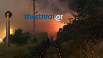 Σε εξέλιξη φωτιά στον Δενδροπόταμο Θεσσαλονίκης – ΦΩΤΟ