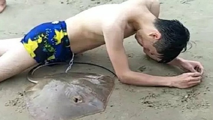 Σαλάχι “άρπαξε” κολυμβητή από τα γεννητικά όργανα – ΦΩΤΟ – ΒΙΝΤΕΟ