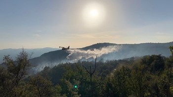 Σε ύφεση η φωτιά στην Αρκαδία – Δεν απειλήθηκαν κατοικημένες περιοχές