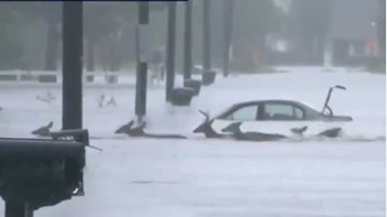 Συγκλονιστικό ΒΙΝΤΕΟ από τον κυκλώνα Φλόρενς – Τρομοκρατημένα ελάφια προσπαθούν να σωθούν διασχίζοντας τον πλημμυρισμένο δρόμο