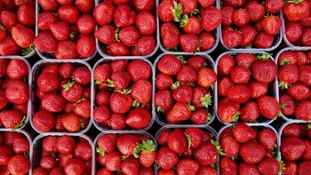 Σε επιφυλακή Αυστραλία και Νέα Ζηλανδία – Εντοπίστηκαν φράουλες με βελόνες