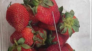 Συναγερμός στην Αυστραλία για τις φράουλες με βελόνες και ξυραφάκια – Σε κρίση οι παραγωγοί – Αναζητούνται οι ένοχοι – ΒΙΝΤΕΟ