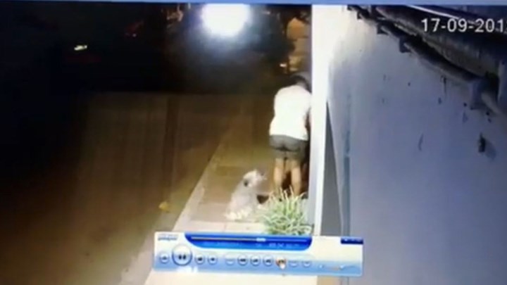 Καρέ – καρέ η εγκατάλειψη σκύλου από τον ιδιοκτήτη του – ΒΙΝΤΕΟ