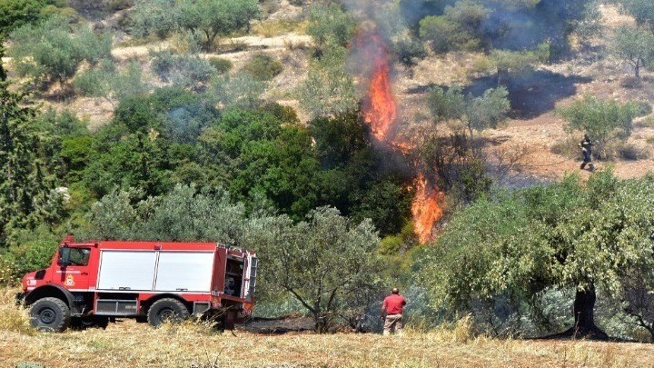 Φωτιές σε Αχαΐα, Ηλεία και Αιτωλοακαρνανία – Οι πυροσβεστικές δυνάμεις έχουν περιορίσει τα πύρινα μέτωπα