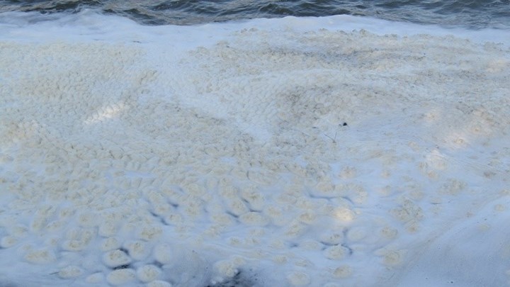 Γέμισε με αφρούς η λίμνη Ιωαννίνων – ΦΩΤΟ – ΒΙΝΤΕΟ