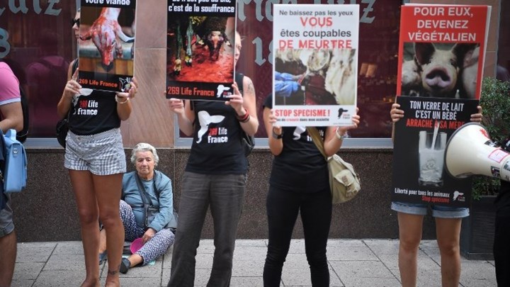 Κρεοπώλες προσλαμβάνουν εταιρείες security για να προστατευθούν από τους βίγκαν