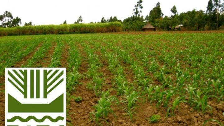 Σήμερα η πληρωμή αποζημιώσεων 38,5 εκατ. ευρώ από τον ΕΛΓΑ