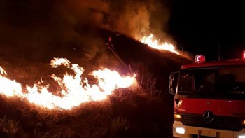 Σε εξέλιξη η φωτιά στην Δυτική Αχαΐα – Ενισχύονται οι πυροσβεστικές δυνάμεις