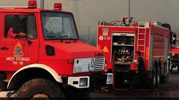 Υπό μερικό έλεγχο η πυρκαγιά στην Κεφαλονιά