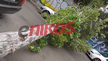 Περισσότερες από 580 κλήσεις στην Αττική έχει δεχθεί η Πυροσβεστική λόγω της κακοκαιρίας