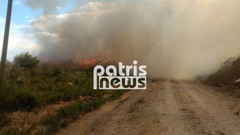 Φωτιά στον Πύργο – Κινδυνεύουν παραθεριστικές κατοικίες – ΤΩΡΑ