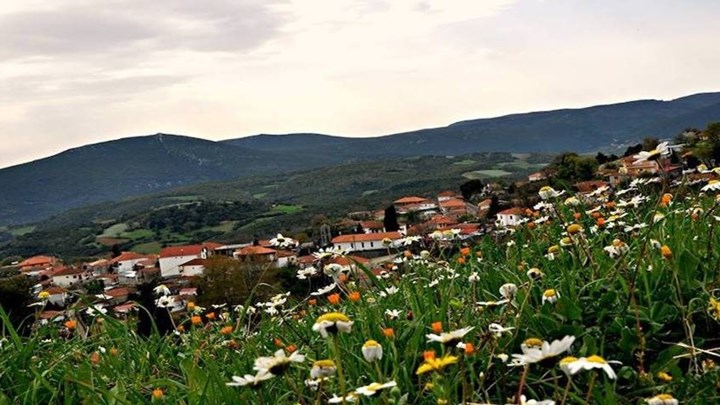 Αγνοείται κτηνοτρόφος στην περιοχή του Αλμυρού Βόλου