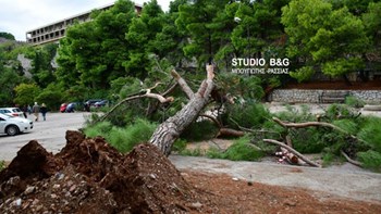 Κατολισθήσεις στο Ναύπλιο- Ξεριζώθηκε δέντρο – ΦΩΤΟ – ΒΙΝΤΕΟ