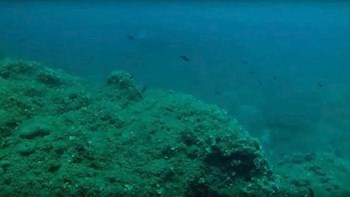 Δύτες ανέσυραν από τον βυθό  ναυάγιο του 18ου αιώνα