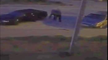 Ενοχλούσε τη σύζυγό του η δυνατή μουσική και σκότωσε τον “ένοχο” – ΒΙΝΤΕΟ