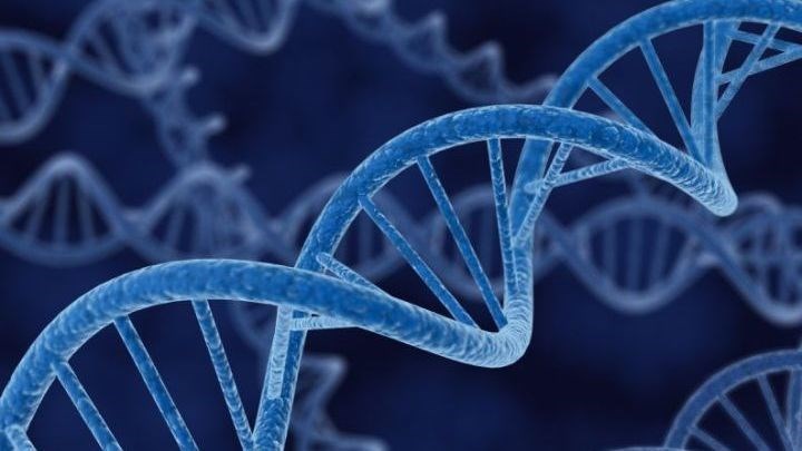 Επιστήμονες αποκαλύπτουν πώς συνδέεται το DNA με τον καρκίνο