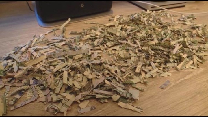 “Διαβολάκος” 2 έτων έκανε κομματάκια 1000 δολάρια – ΒΙΝΤΕΟ