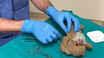 Συγκινεί ο νευροχειρουργός που έκανε “ράμματα” σε αρκουδάκι – ΒΙΝΤΕΟ – ΦΩΤΟ