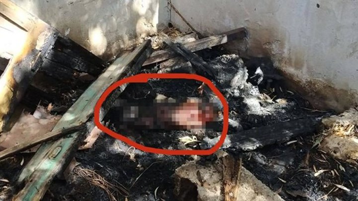 Φρίκη:  Άγνωστοι έκαψαν ζωντανό σκυλί μέσα στο σπιτάκι του